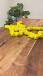 Jamuni Aura Mul Cotton Saree